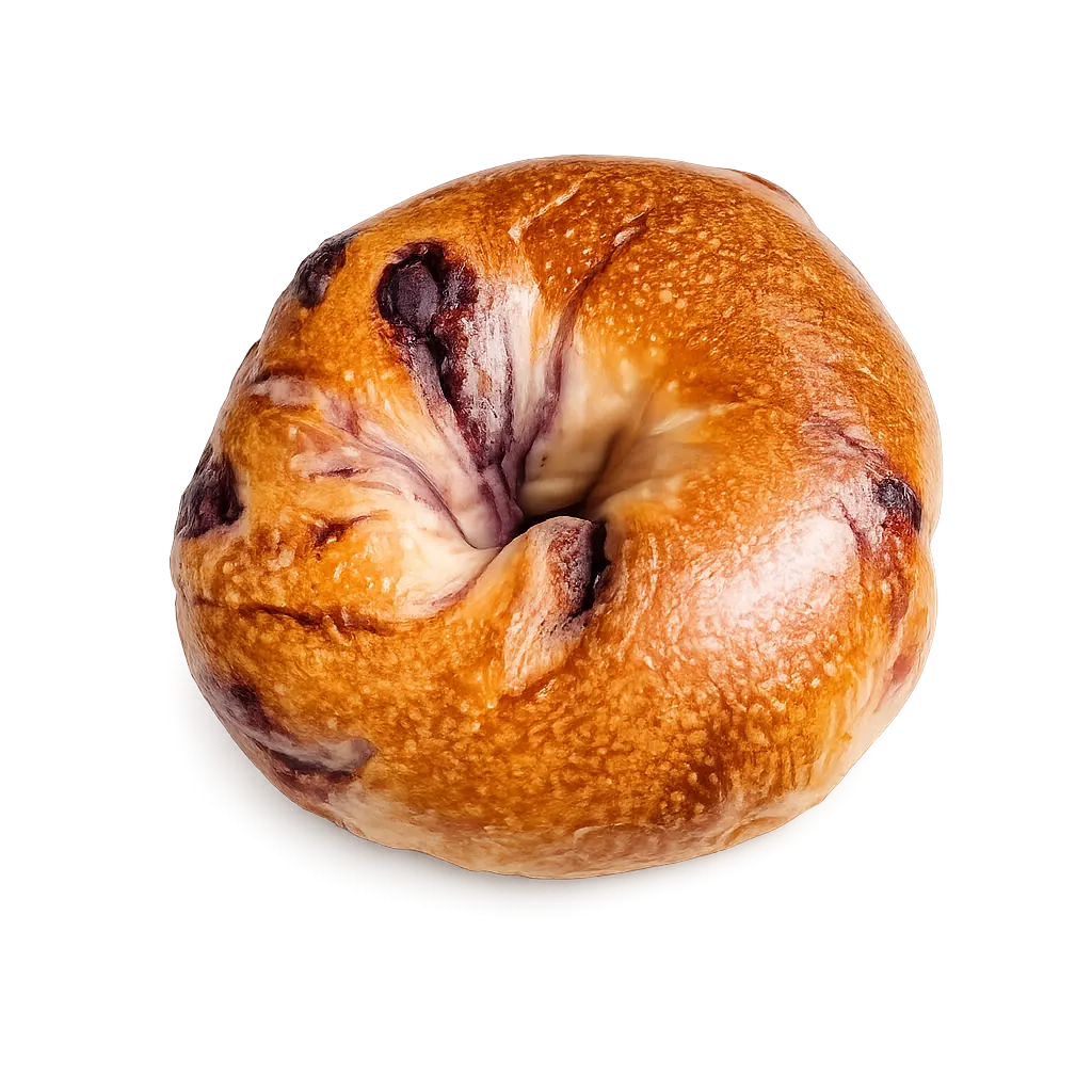 Blueberry Bagel